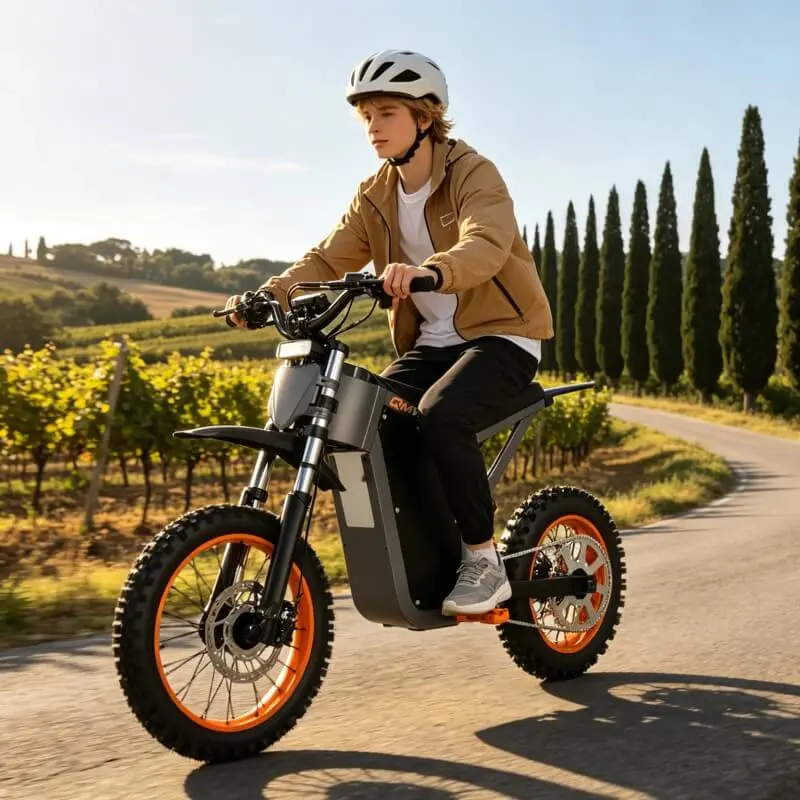 S&uuml;r&uuml;c&uuml; İhtiya&ccedil;ları ve Pazar Trendleri &Ccedil;evresinde Geliştirilen &Ouml;zel Elektrikli Motosiklet