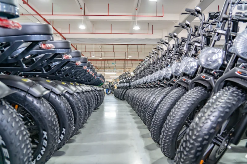 Tüm Arazi Elektrikli Bisiklet OEM