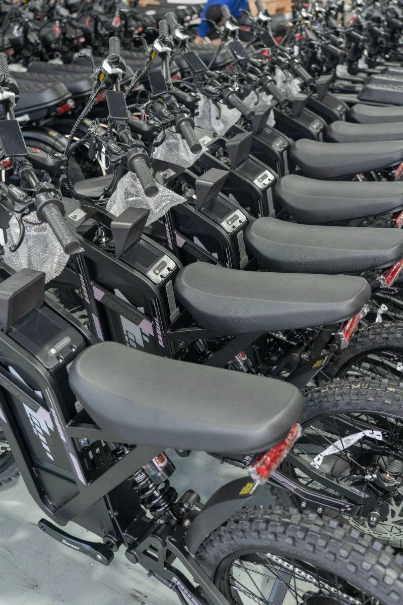 Çift Pilli Yağ Lastiği Elektrikli Bisiklet